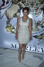 Debina Banerjee at House of Marley event in Mumbai on 14th Feb 2013 (70).JPG